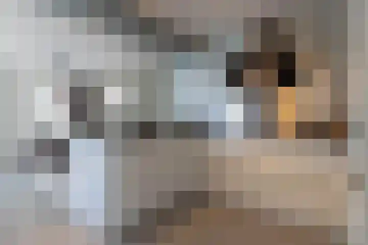 Achterweg 88 Nieuwe Wetering thumbnail 14