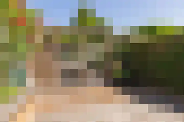 Achterweg 88 Nieuwe Wetering thumbnail 25