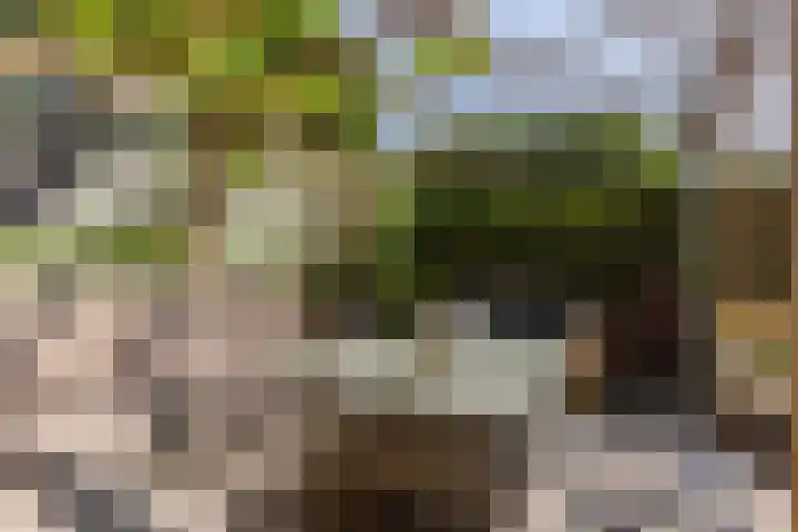 Achterweg 88 Nieuwe Wetering thumbnail 26