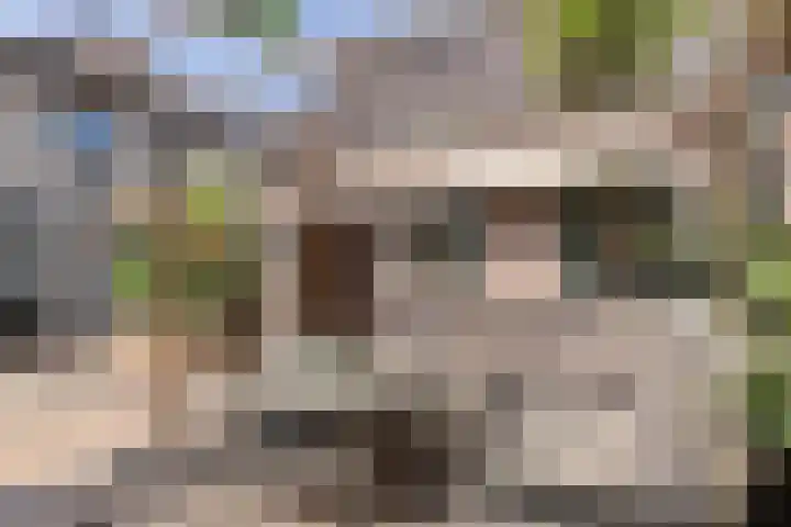 Achterweg 88 Nieuwe Wetering thumbnail 27