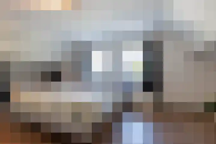 Achterweg 88 Nieuwe Wetering thumbnail 34