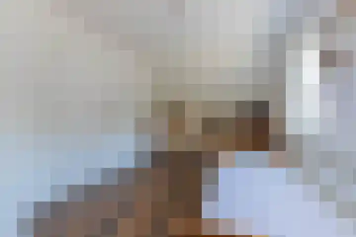 Achterweg 88 Nieuwe Wetering thumbnail 37