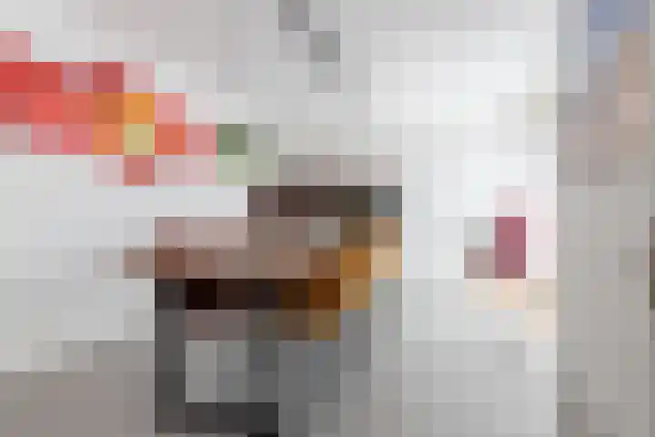 Achterweg 88 Nieuwe Wetering thumbnail 4