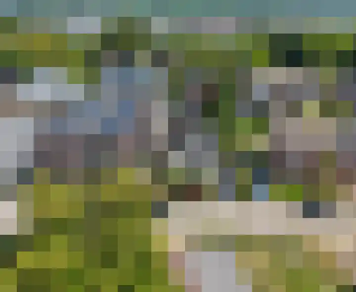 Achterweg 88 Nieuwe Wetering thumbnail 41