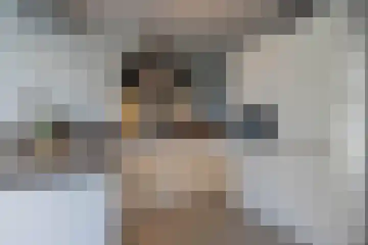 Achterweg 88 Nieuwe Wetering thumbnail 5