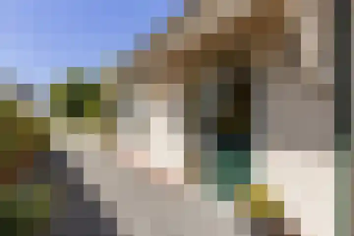 Achterweg 88 Nieuwe Wetering thumbnail 7