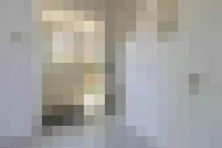 Achterweg 88 Nieuwe Wetering thumbnail 8