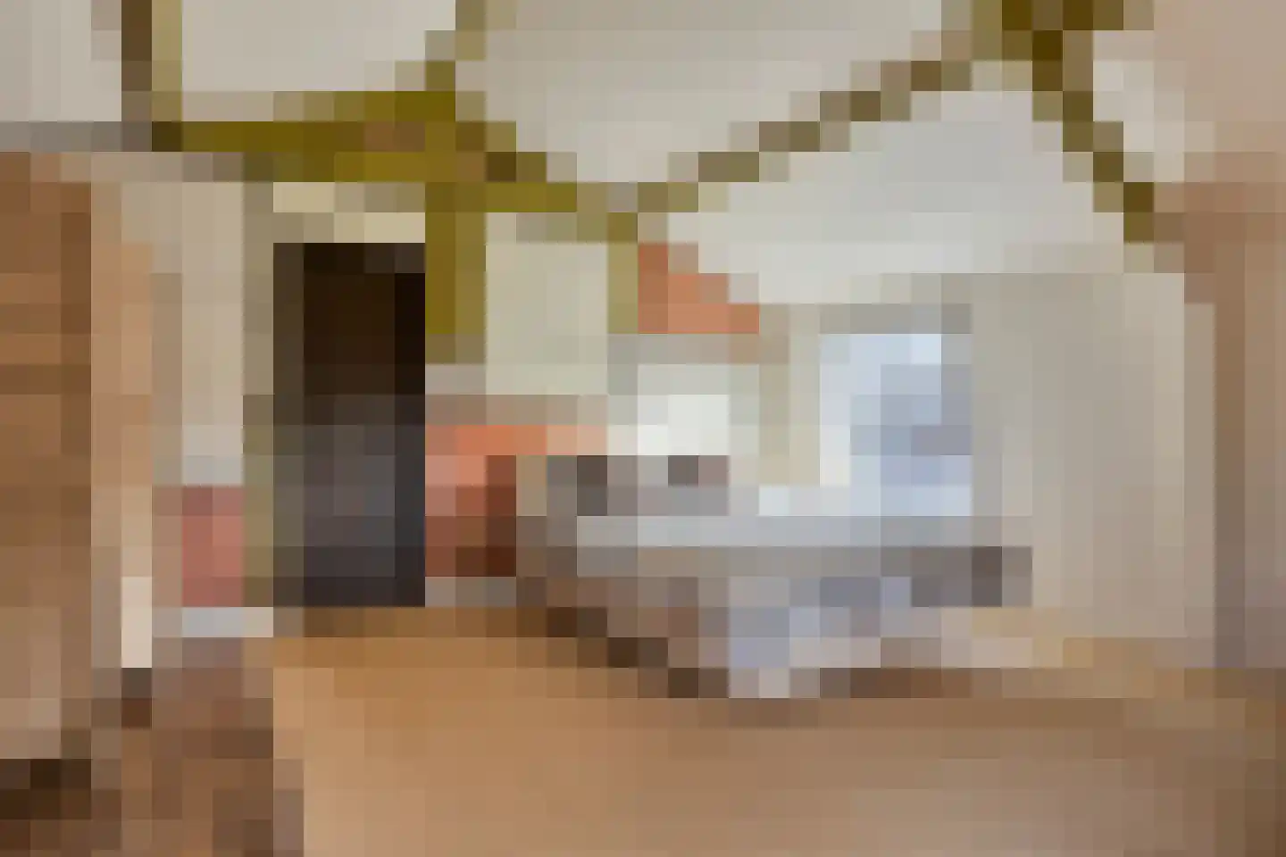 Achterweg 94 Nieuwe Wetering thumbnail 17