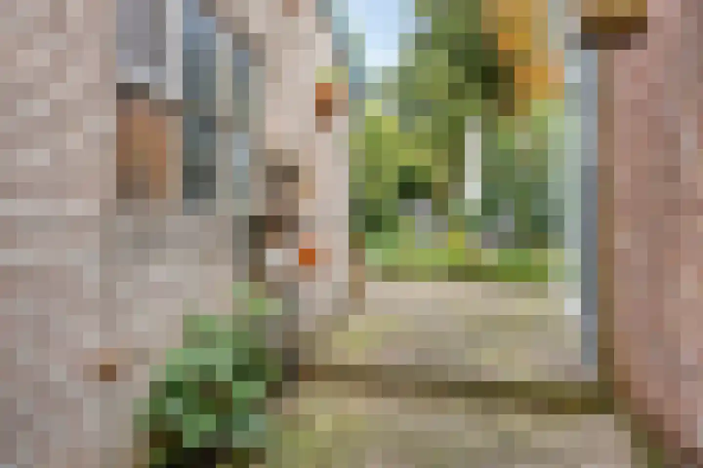 Achterweg 94 Nieuwe Wetering thumbnail 19