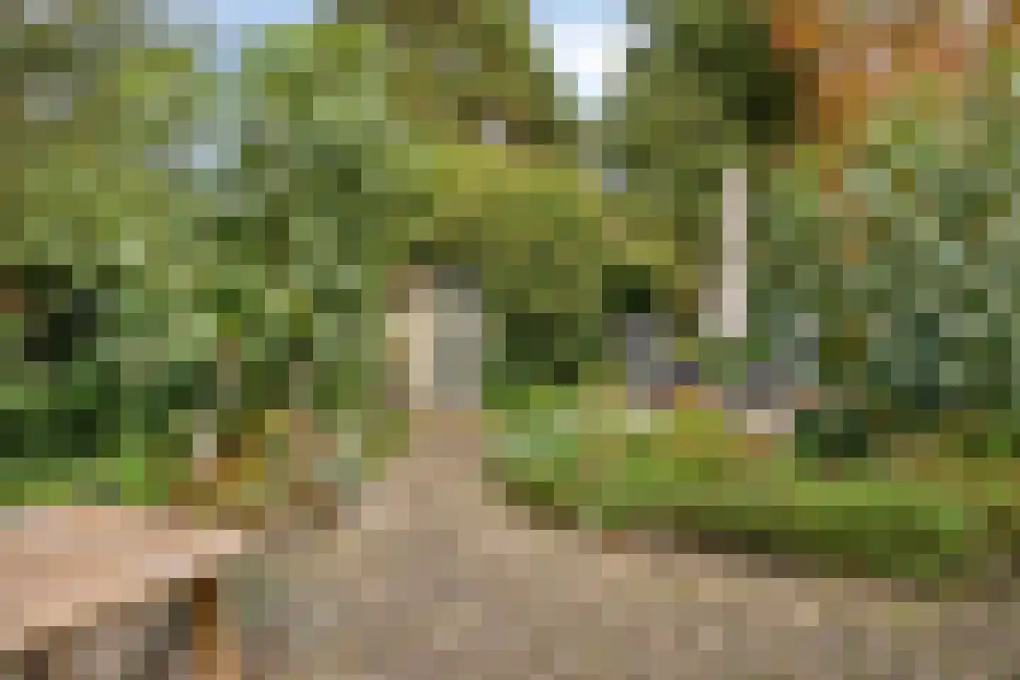 Achterweg 94 Nieuwe Wetering thumbnail 20