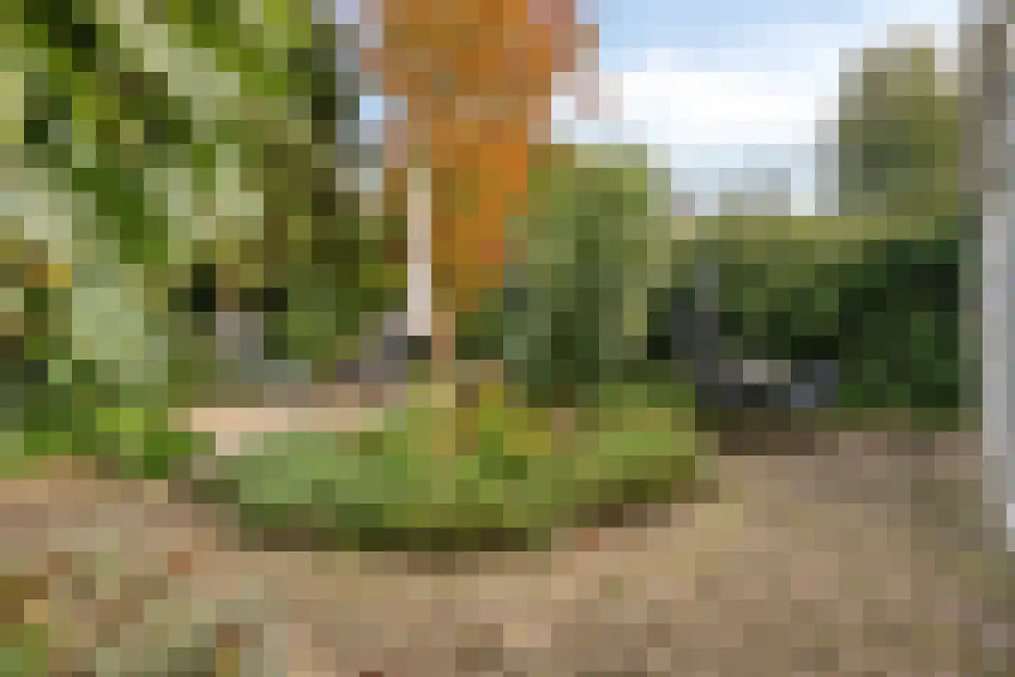 Achterweg 94 Nieuwe Wetering thumbnail 22