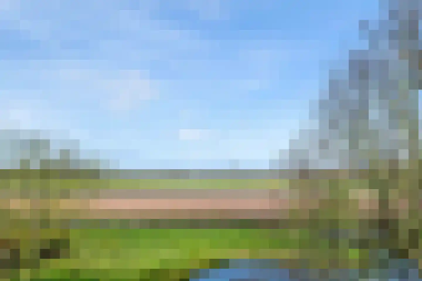 Achterweg-Zuid 56 Lisse thumbnail 49