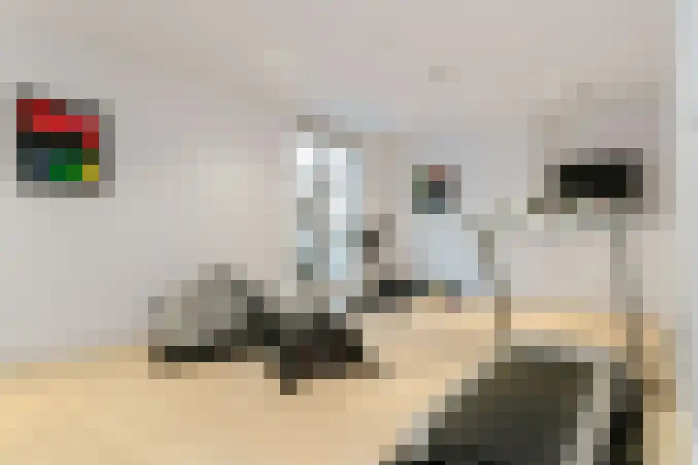 Achterweg-Zuid 56 Lisse thumbnail 52