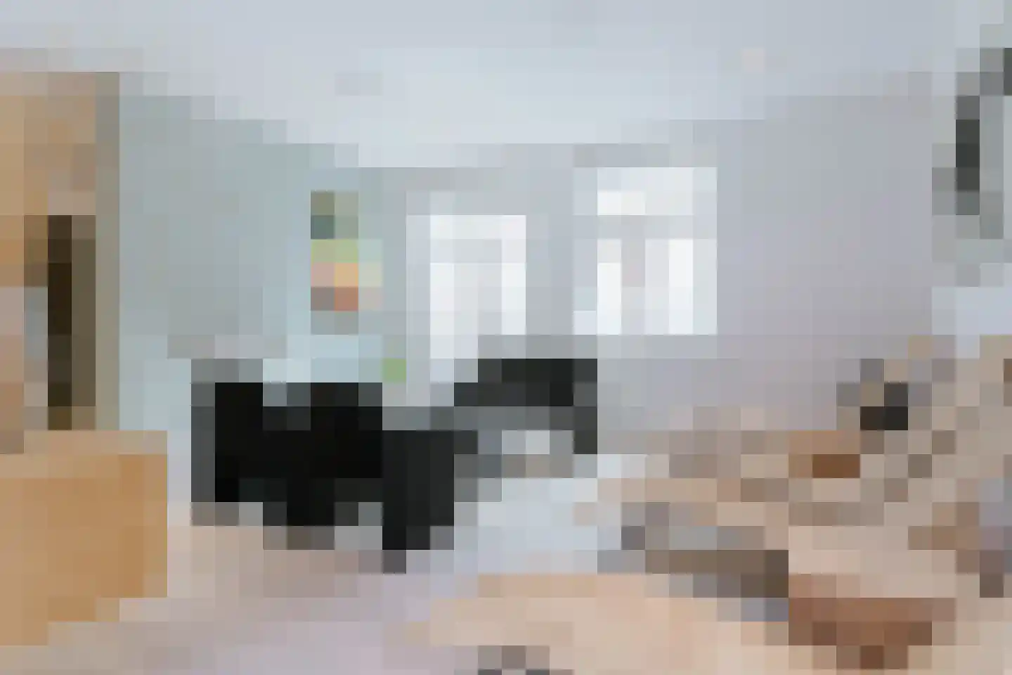 Achterweg-Zuid 56 Lisse thumbnail 53
