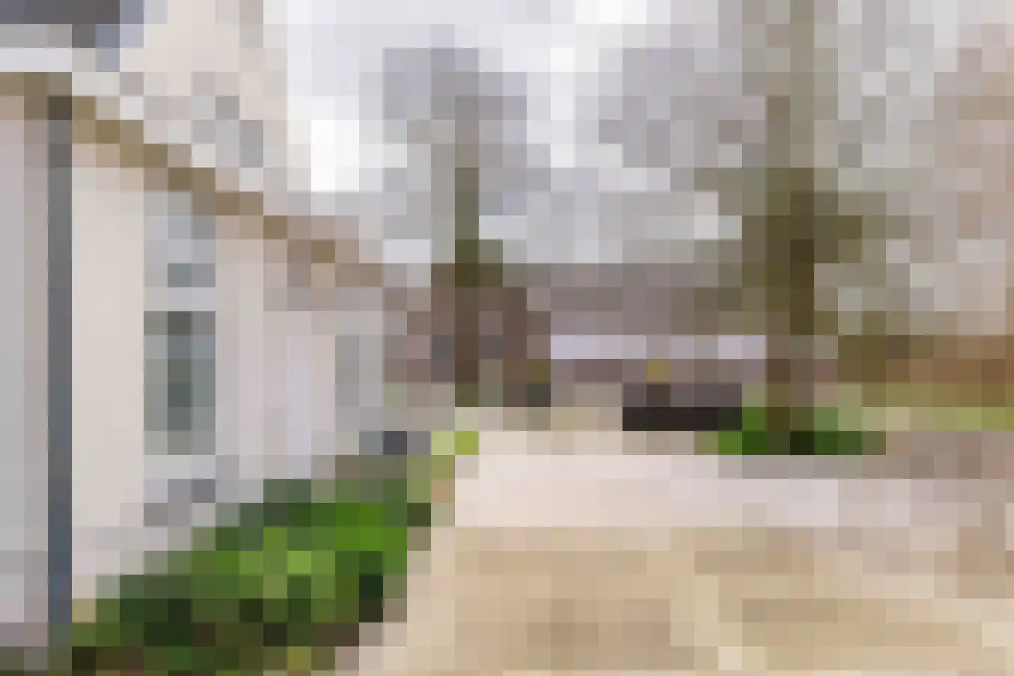 Achterweg-Zuid 56 Lisse thumbnail 61