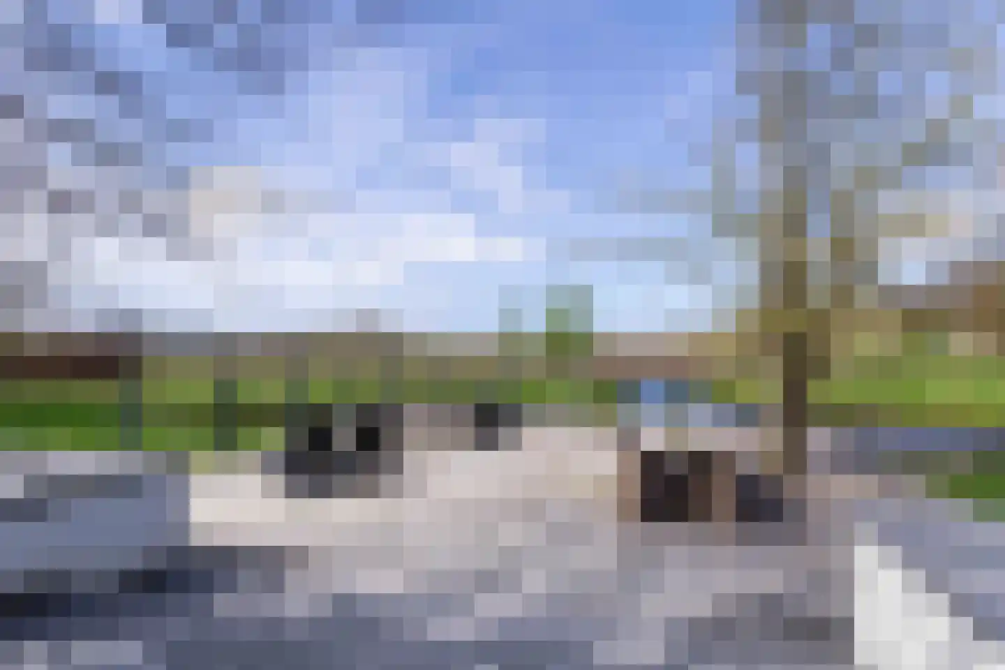 Achterweg-Zuid 56 Lisse thumbnail 62
