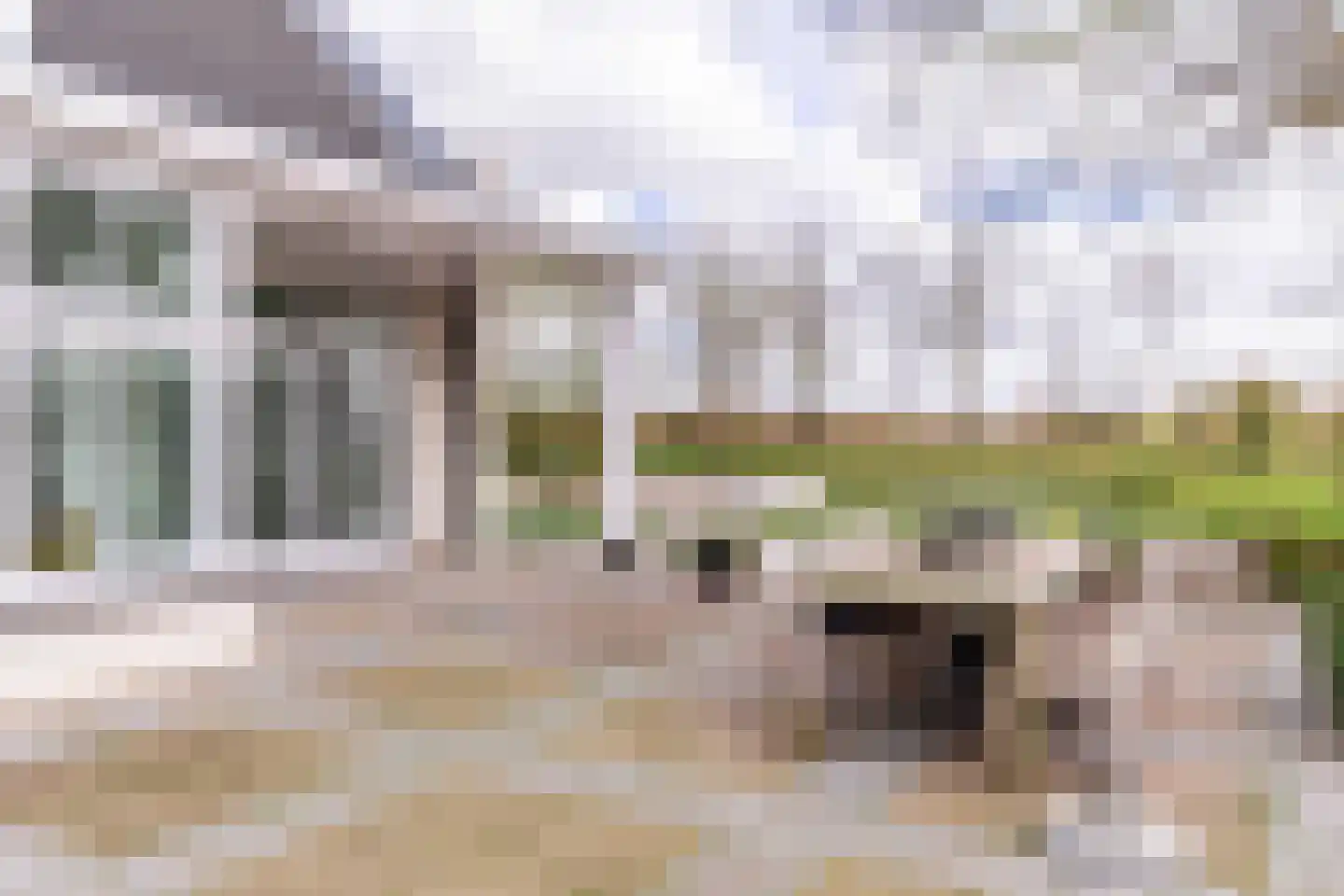 Achterweg-Zuid 56 Lisse thumbnail 63