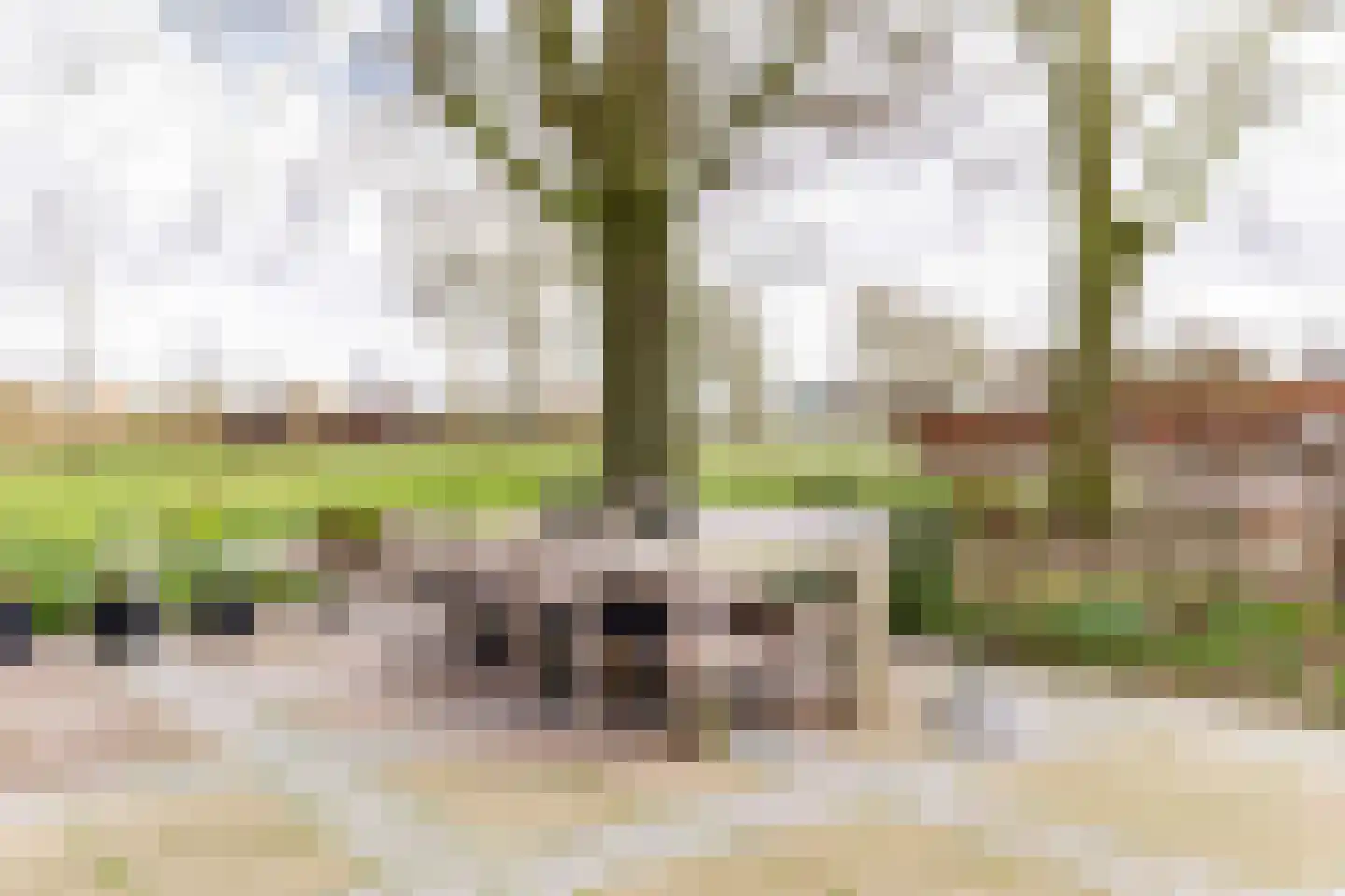 Achterweg-Zuid 56 Lisse thumbnail 64