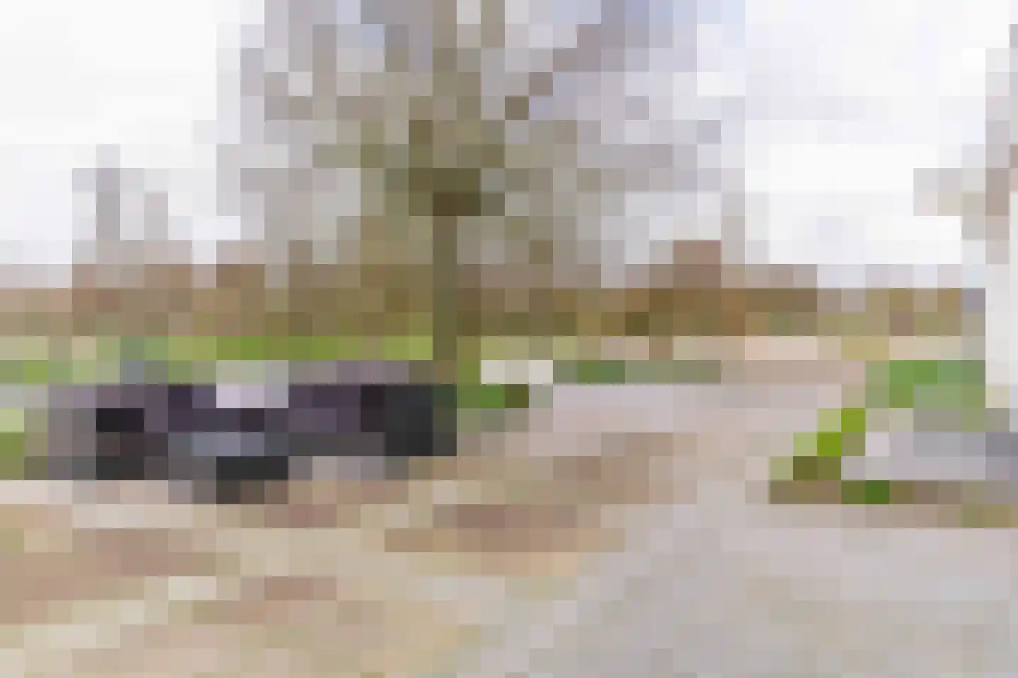 Achterweg-Zuid 56 Lisse thumbnail 65