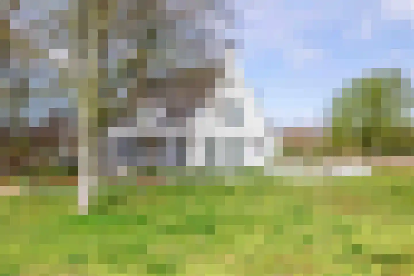 Achterweg-Zuid 56 Lisse thumbnail 7