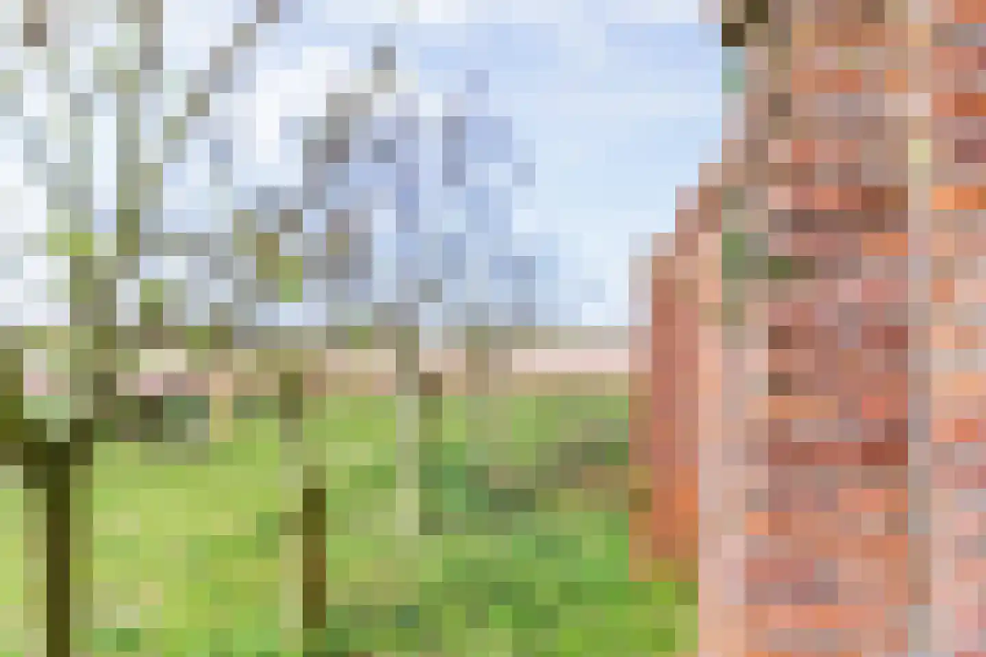 Achterweg-Zuid 56 Lisse thumbnail 71