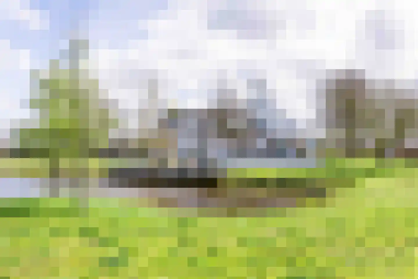 Achterweg-Zuid 56 Lisse thumbnail 72