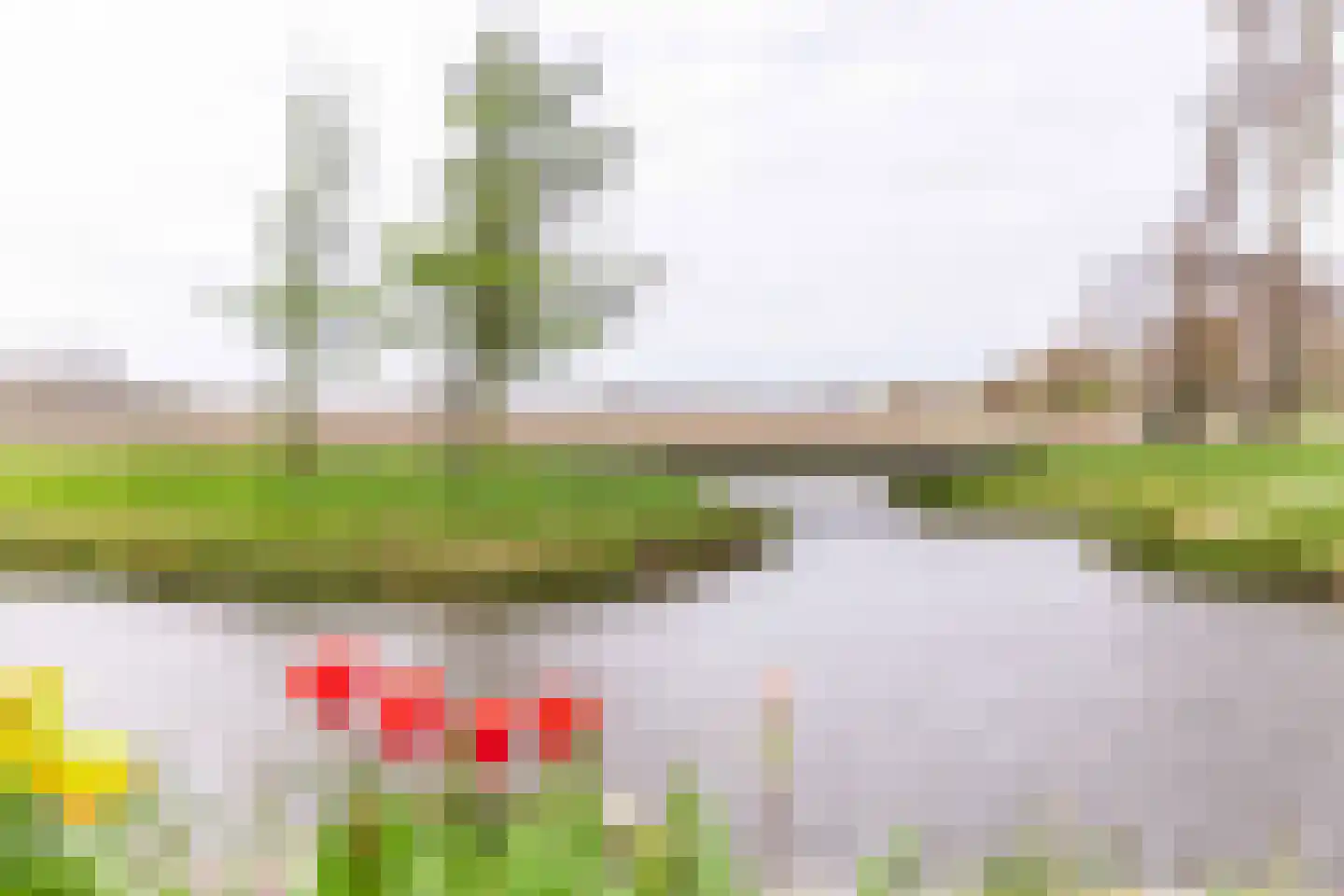 Achterweg-Zuid 56 Lisse thumbnail 75