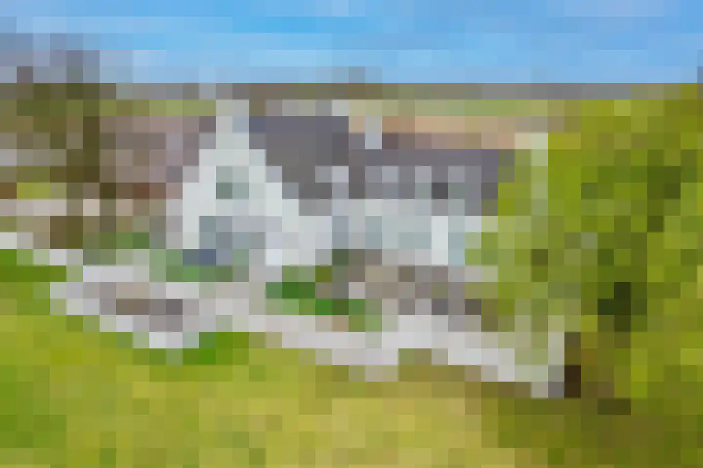 Achterweg-Zuid 56 Lisse thumbnail 76