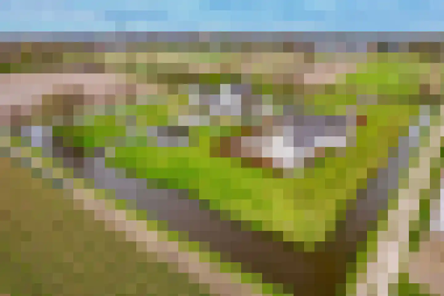 Achterweg-Zuid 56 Lisse thumbnail 77