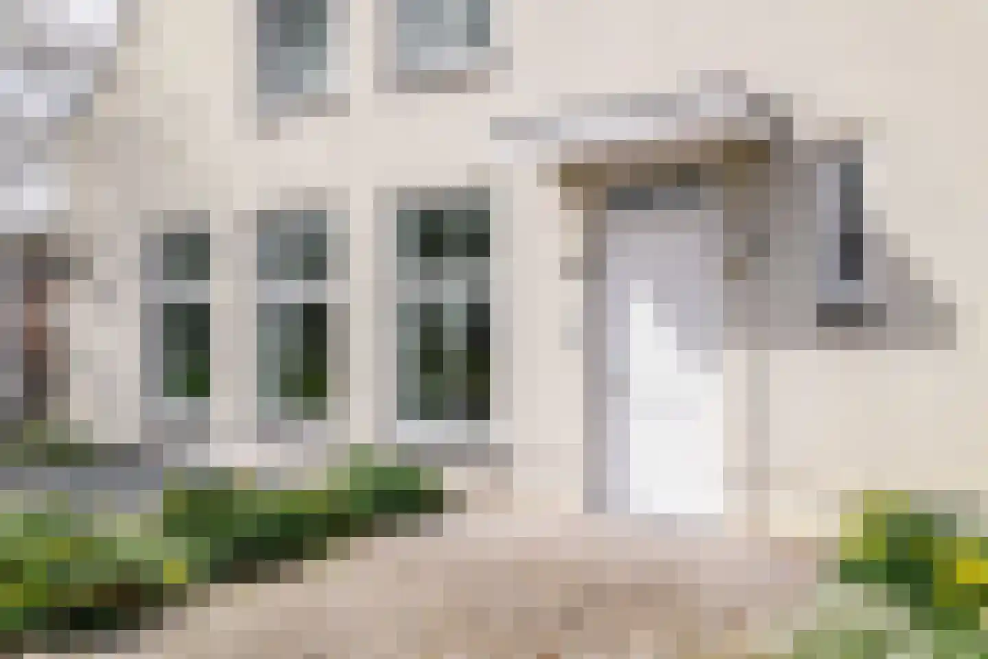 Achterweg-Zuid 56 Lisse thumbnail 8
