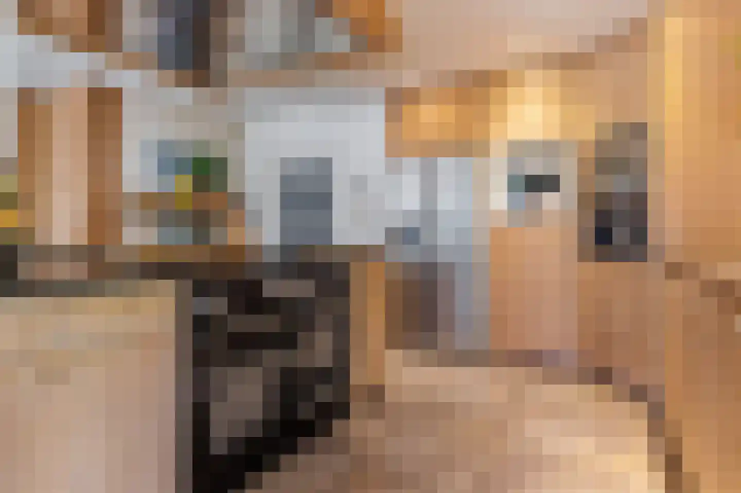 Achterwei 12 Sumar thumbnail 11