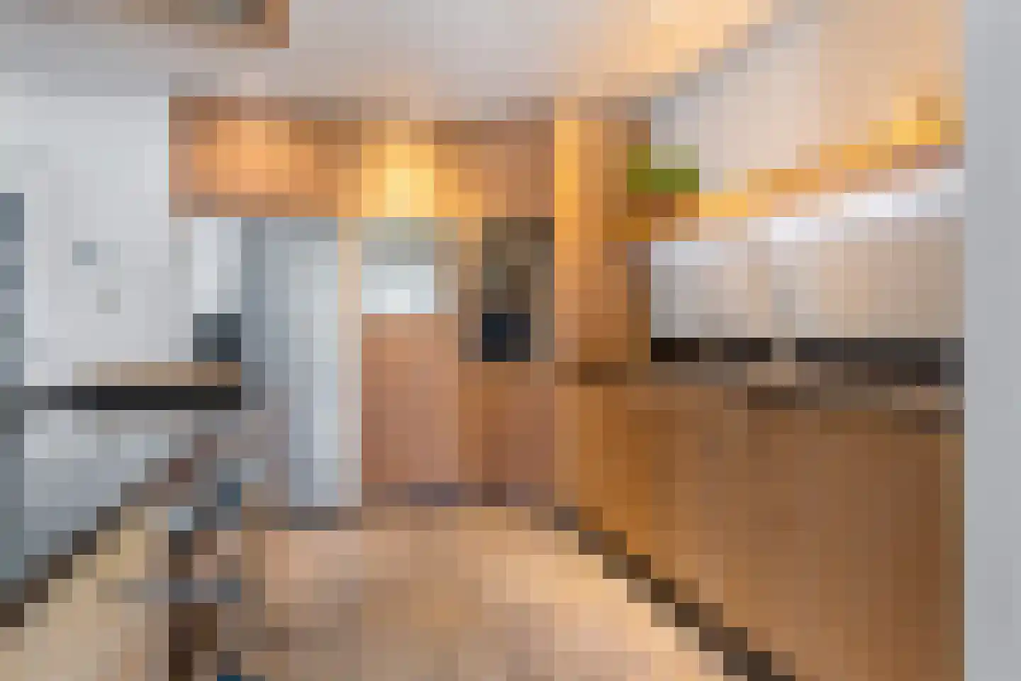 Achterwei 12 Sumar thumbnail 12