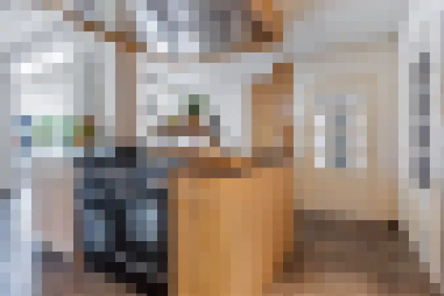 Achterwei 12 Sumar thumbnail 13