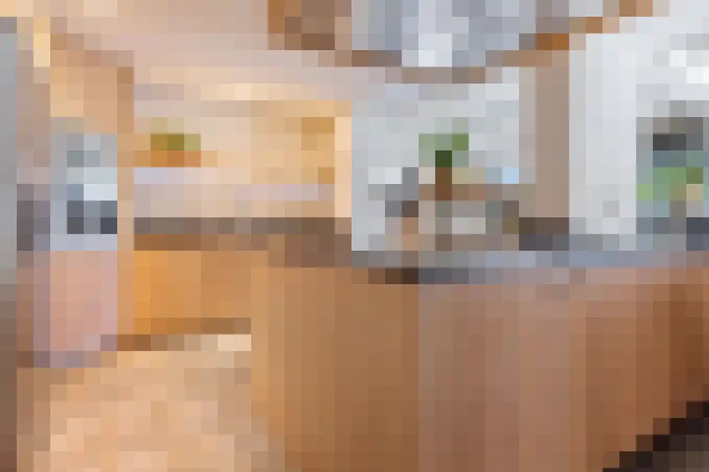 Achterwei 12 Sumar thumbnail 14