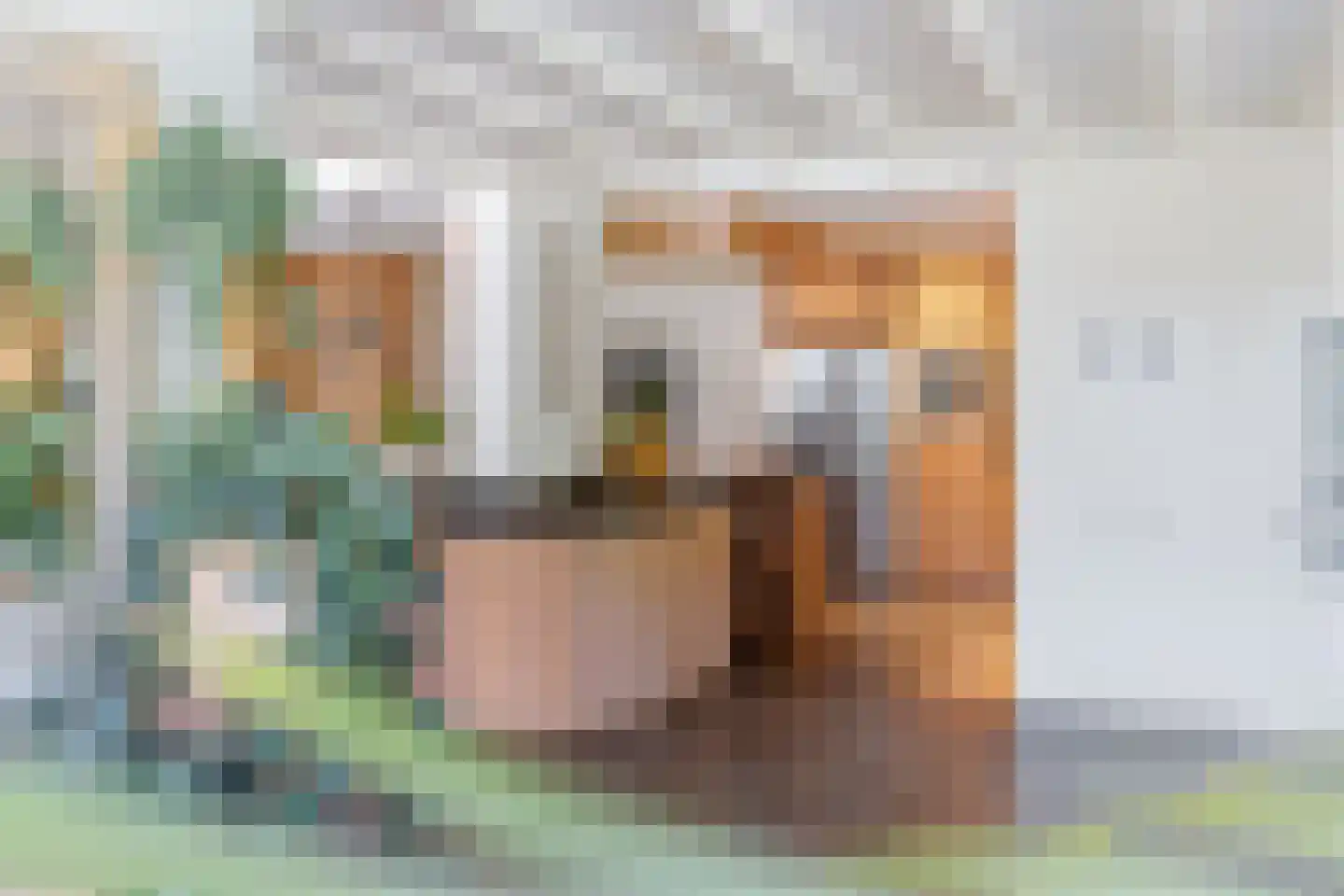 Achterwei 12 Sumar thumbnail 18