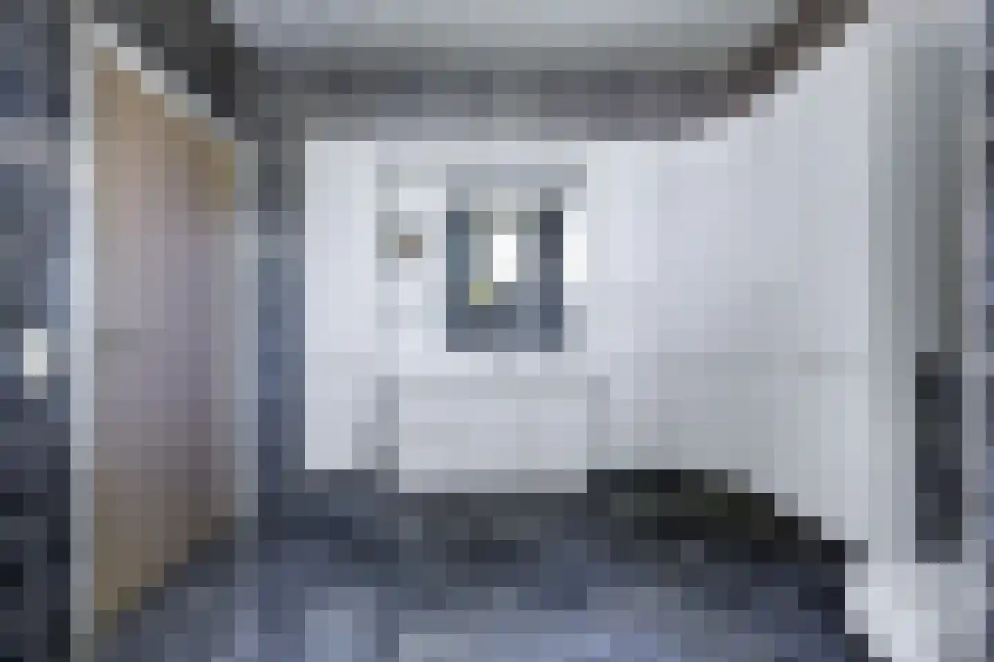 Achterwei 12 Sumar thumbnail 38