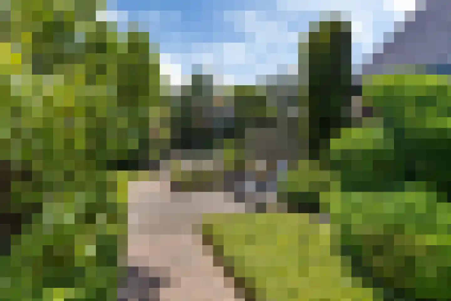 Achterwei 12 Sumar thumbnail 39