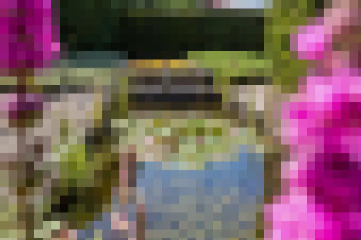 Achterwei 12 Sumar thumbnail 40