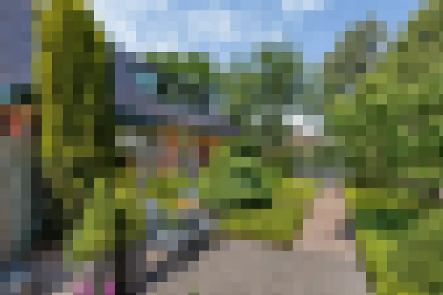 Achterwei 12 Sumar thumbnail 41