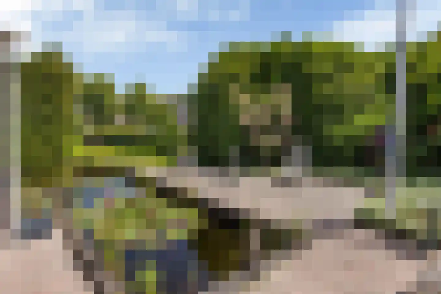 Achterwei 12 Sumar thumbnail 43