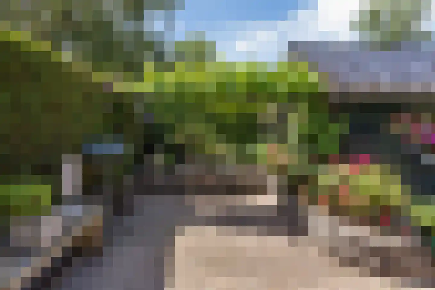 Achterwei 12 Sumar thumbnail 49