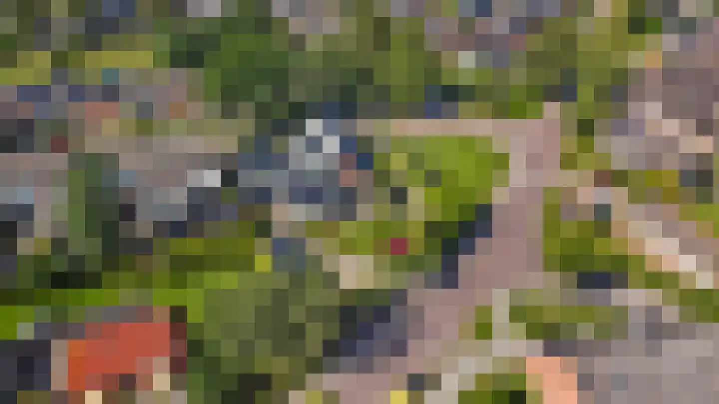 Achterwei 12 Sumar thumbnail 5