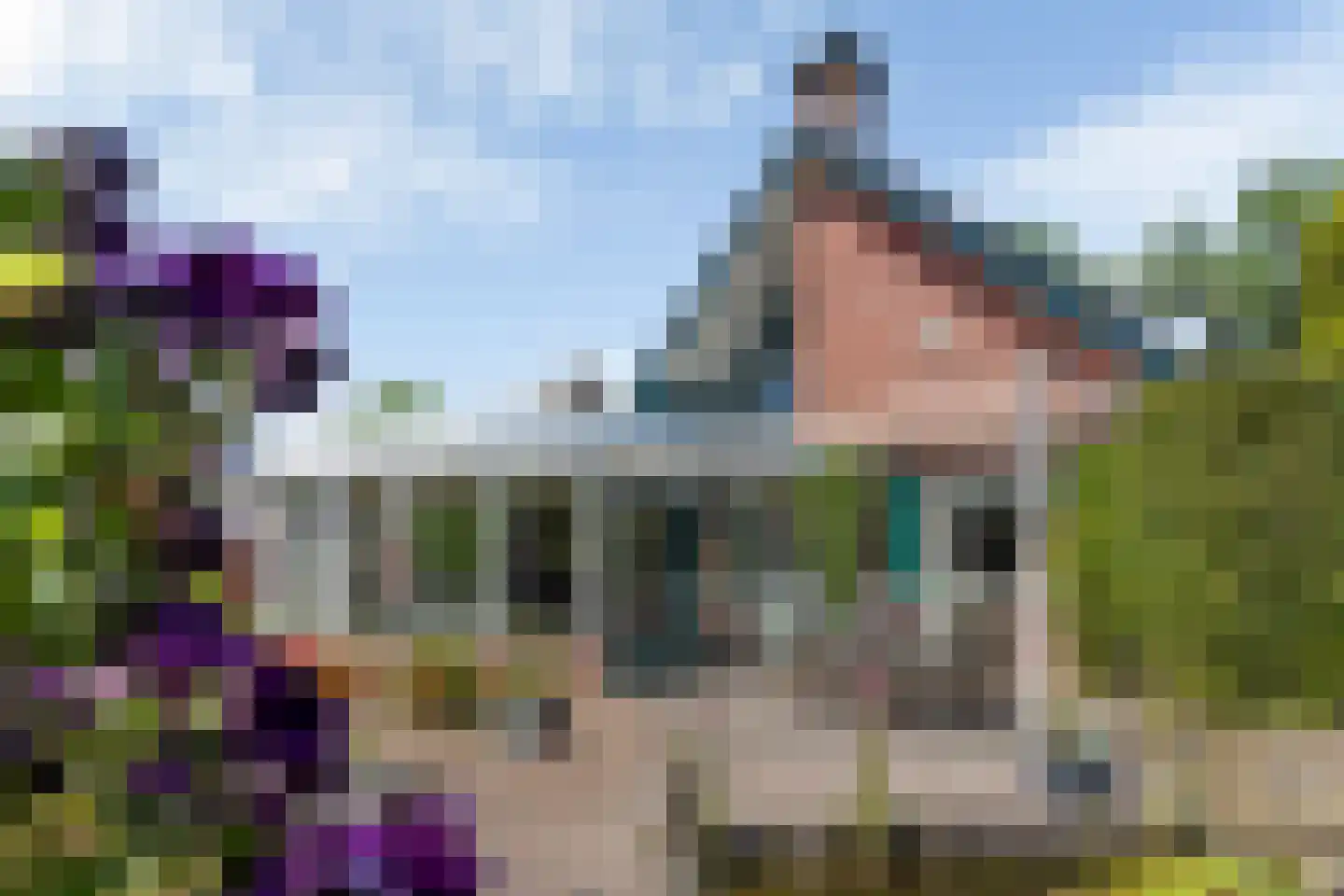 Achterwei 12 Sumar thumbnail 54