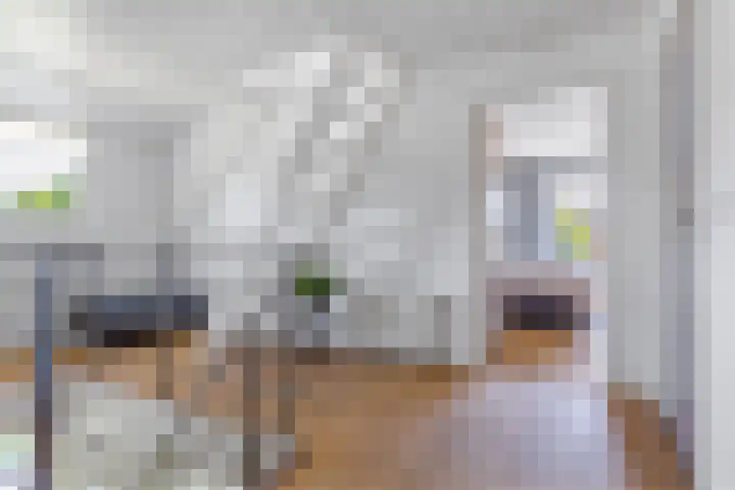 Achterwei 12 Sumar thumbnail 58