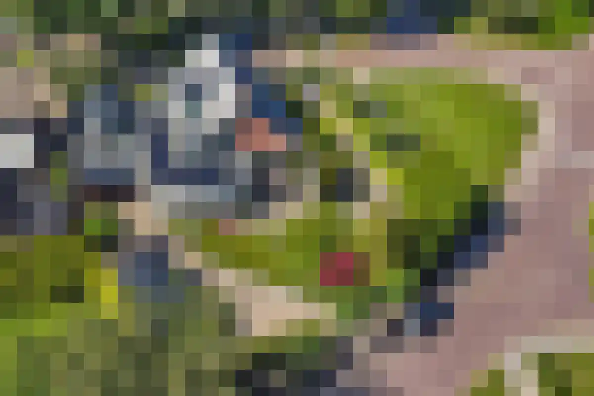 Achterwei 12 Sumar thumbnail 6