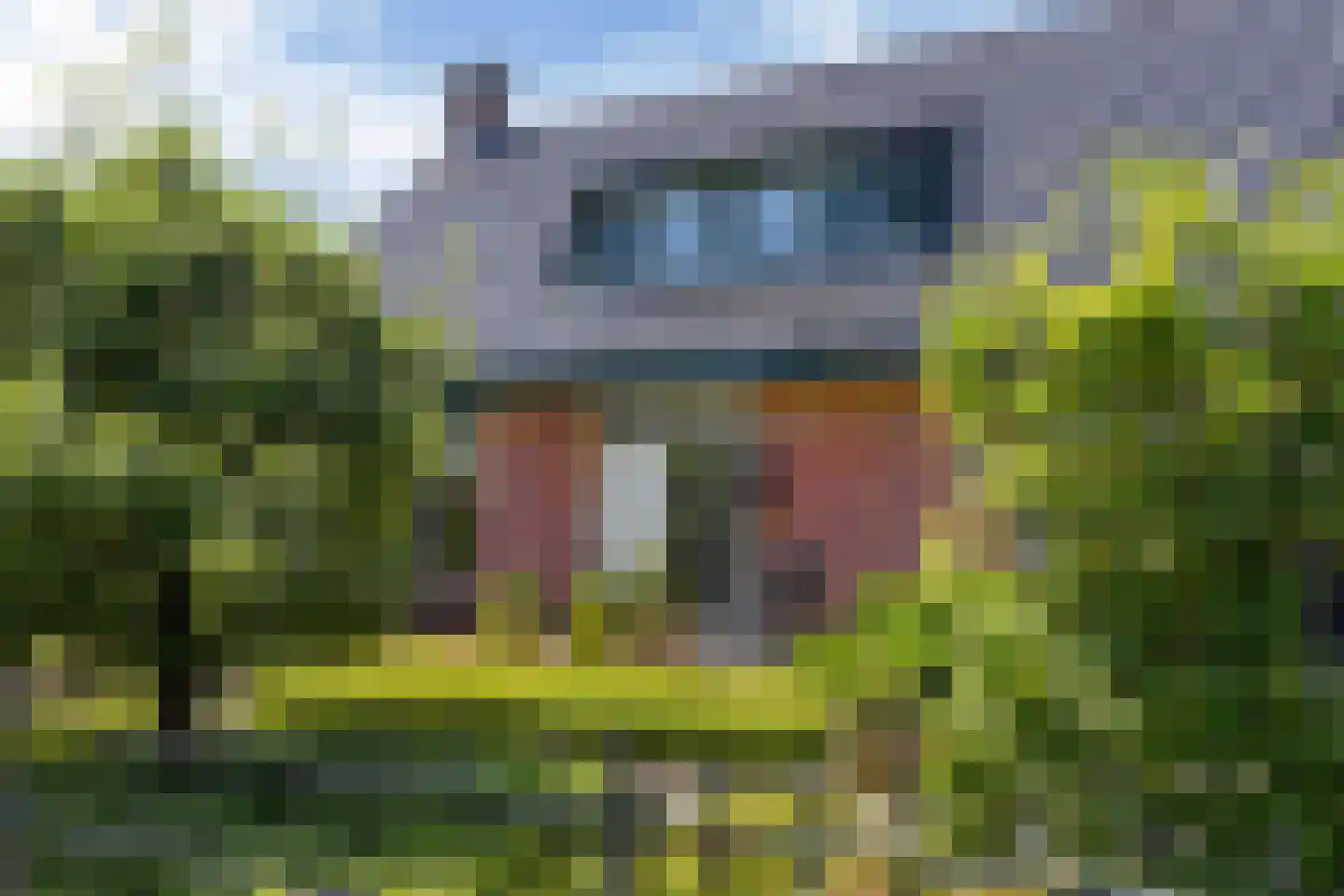 Achterwei 12 Sumar thumbnail 6