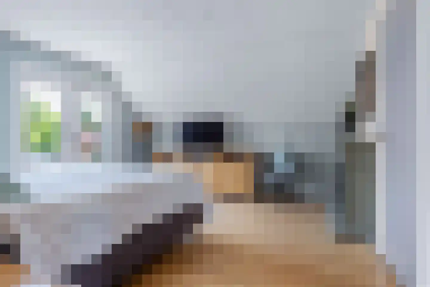 Achterwei 12 Sumar thumbnail 61
