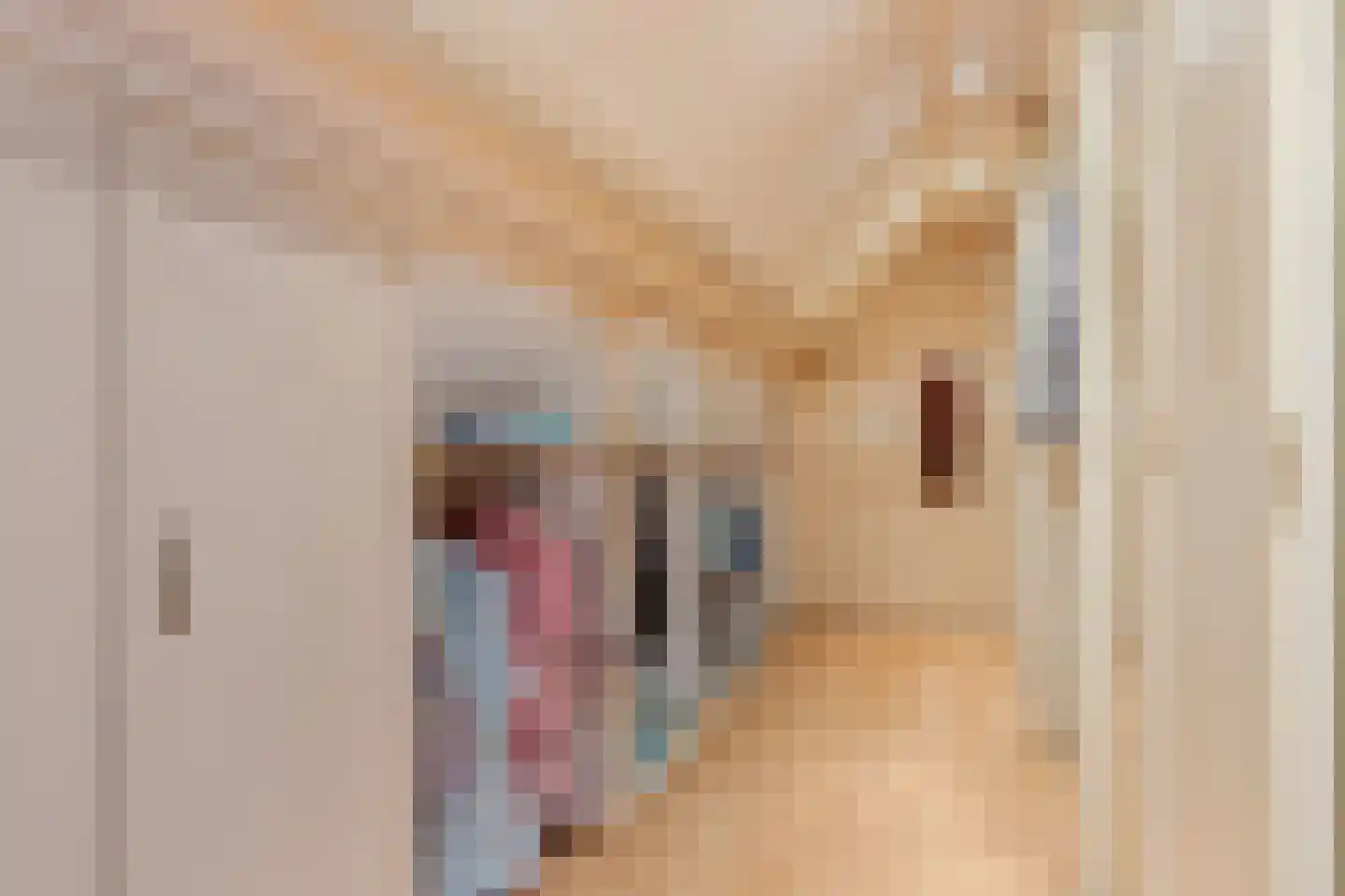 Achterwei 12 Sumar thumbnail 62