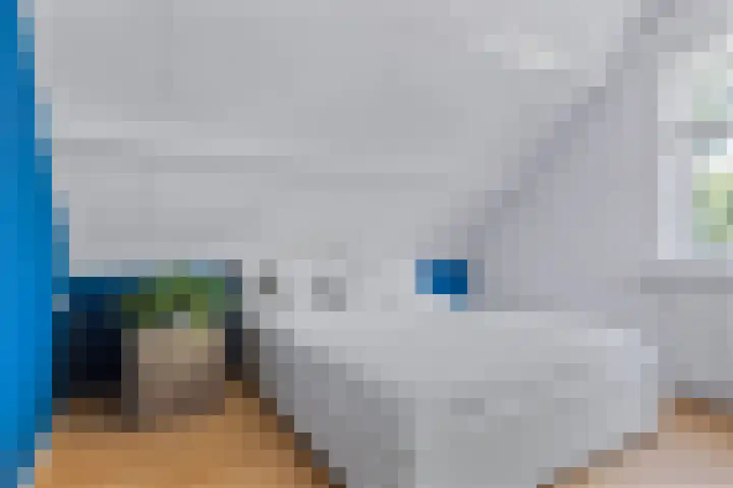 Achterwei 12 Sumar thumbnail 66