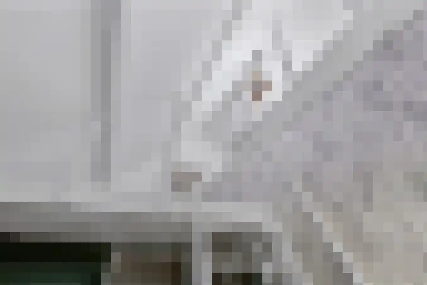 Achterwei 12 Sumar thumbnail 71
